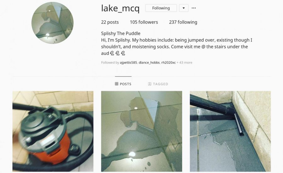 The mysterious puddle has been personified through an anonymous instagram account.