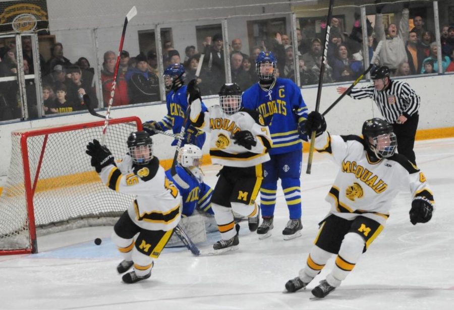 The Hockey Knights celebrate after a goal.