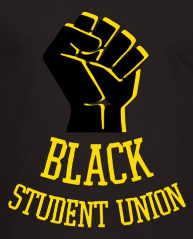 McQuaids Black Student Union Continues to Light The Way Towards a Better Community
