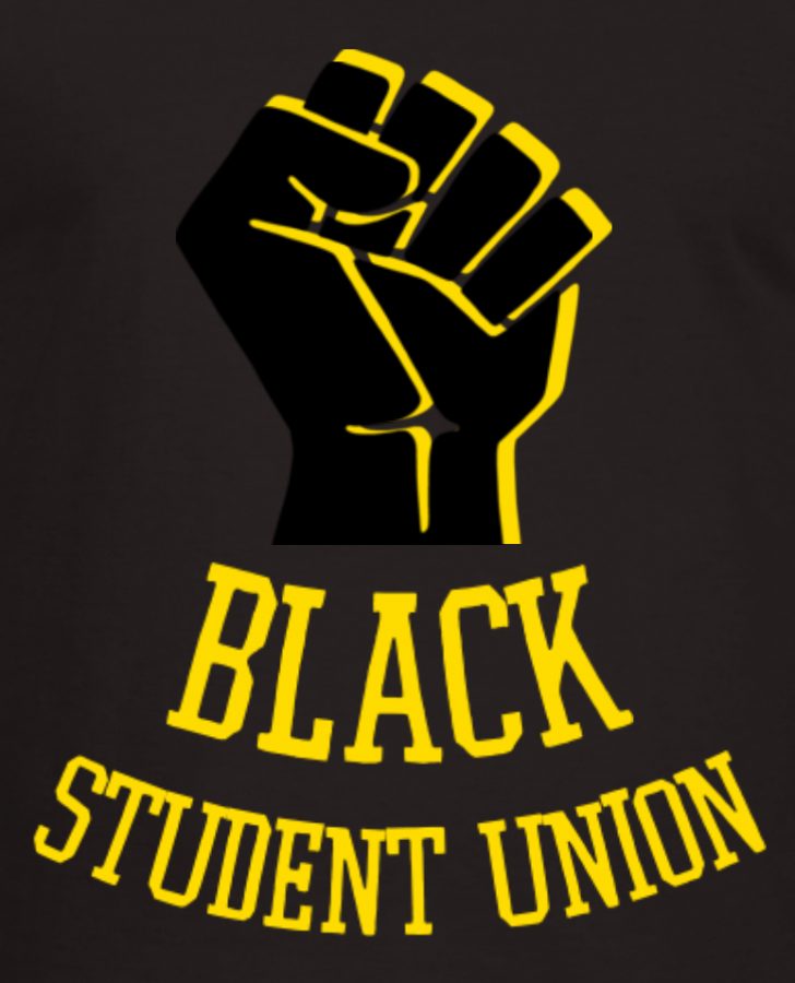 McQuaids+Black+Student+Union+Continues+to+Light+The+Way+Towards+a+Better+Community