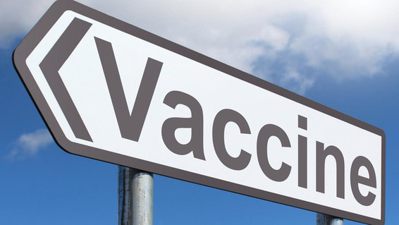 Monroe County Effective in Vaccinating Population
