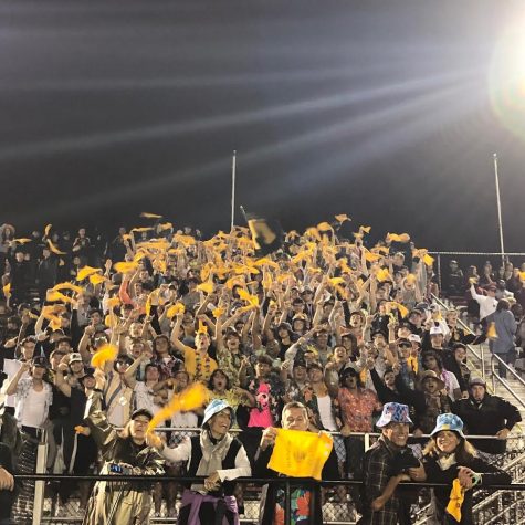 The Simba section wave gold towels in a frenzy as Mcquaid defeats Aquinas 22-21 on October 15.